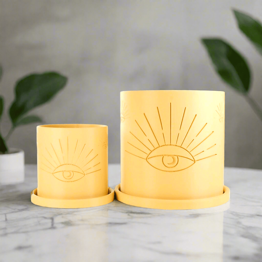 
                      
                        Rosebud HomeGoods All - Seeing Eye Planter - lily & onyx
                      
                    