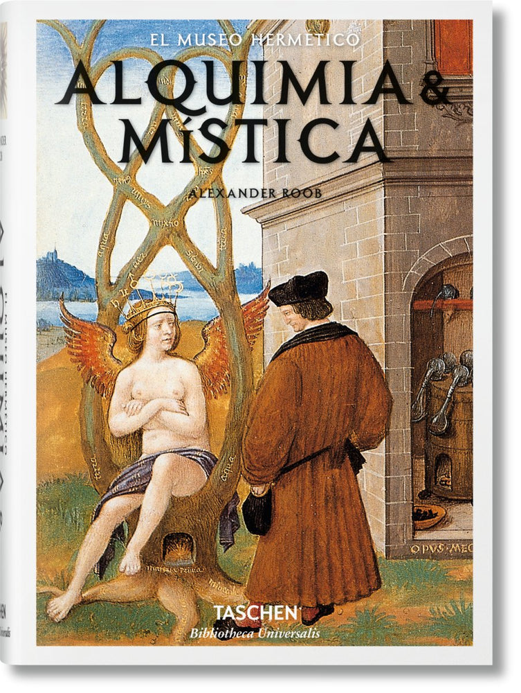 TASCHEN Alquimia & mística (Spanish) - lily & onyx