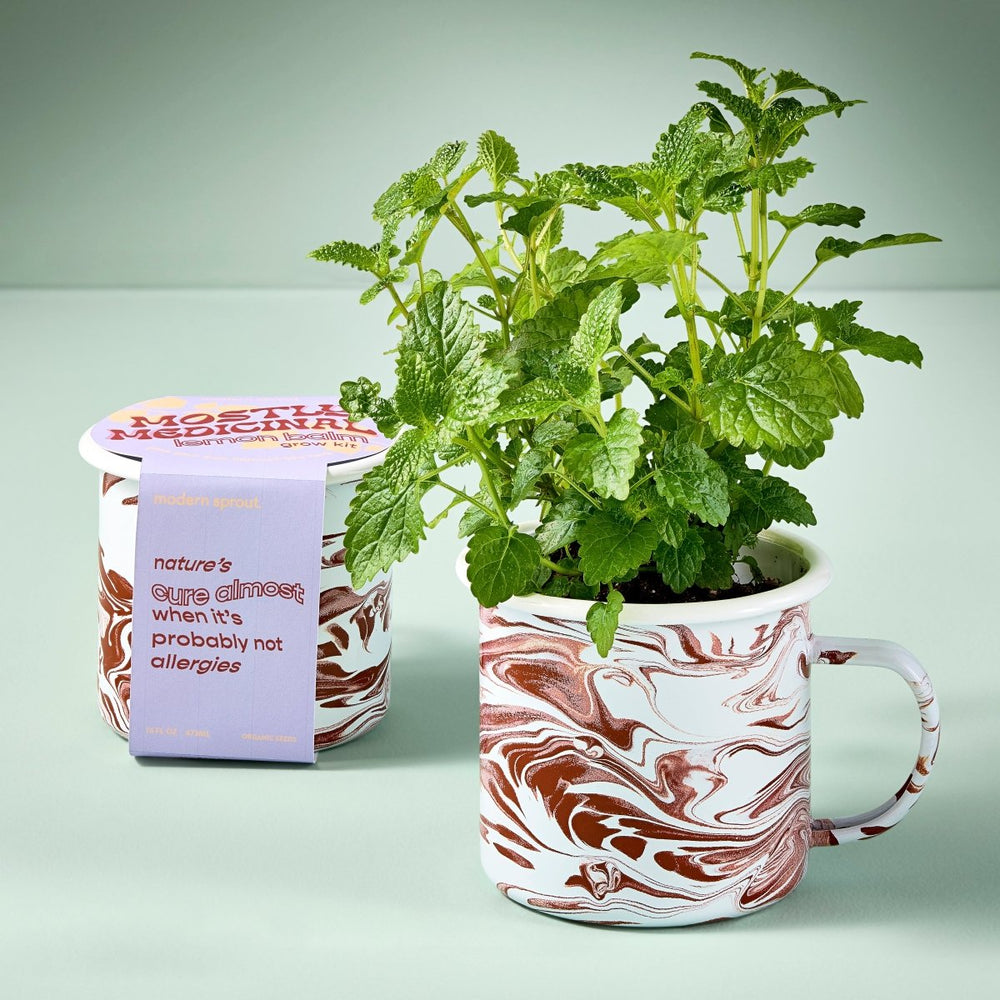 
                      
                        Modern Sprout Altered Herb Mug Grow Kits - lily & onyx
                      
                    