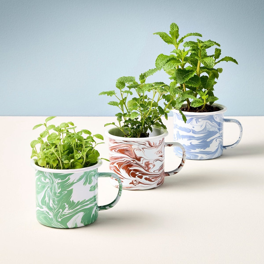 
                      
                        Modern Sprout Altered Herb Mug Grow Kits - lily & onyx
                      
                    