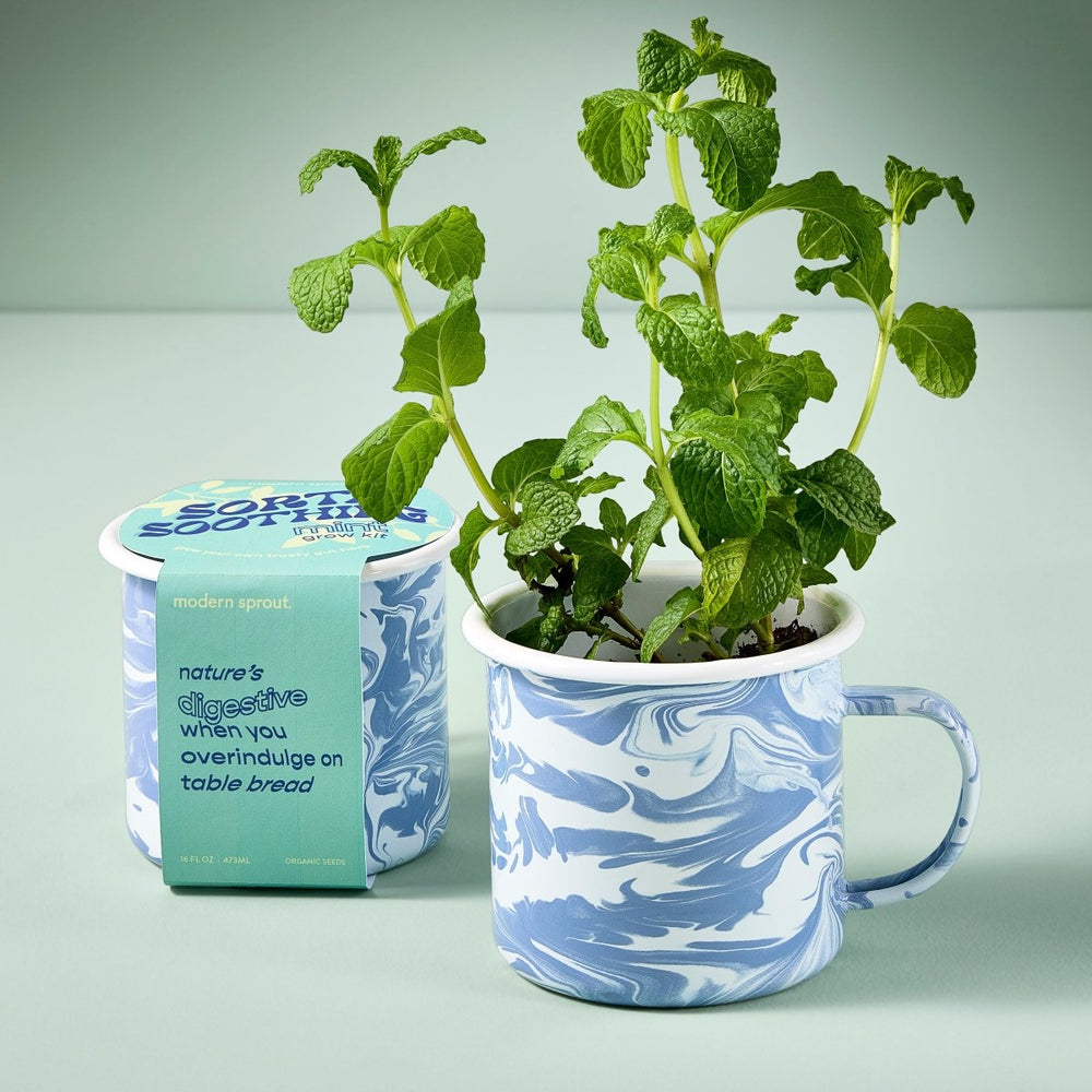 
                      
                        Modern Sprout Altered Herb Mug Grow Kits - lily & onyx
                      
                    