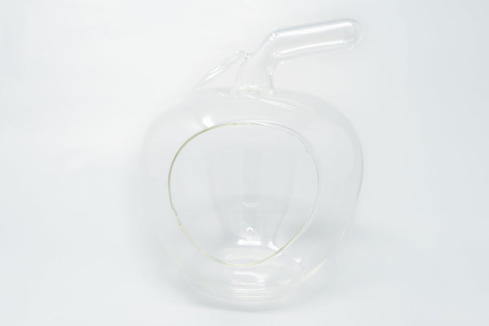 
                      
                        Air Plant Supply Co. Apple Terrarium with Pebble Kit and Tillandsia Air Plants - lily & onyx
                      
                    