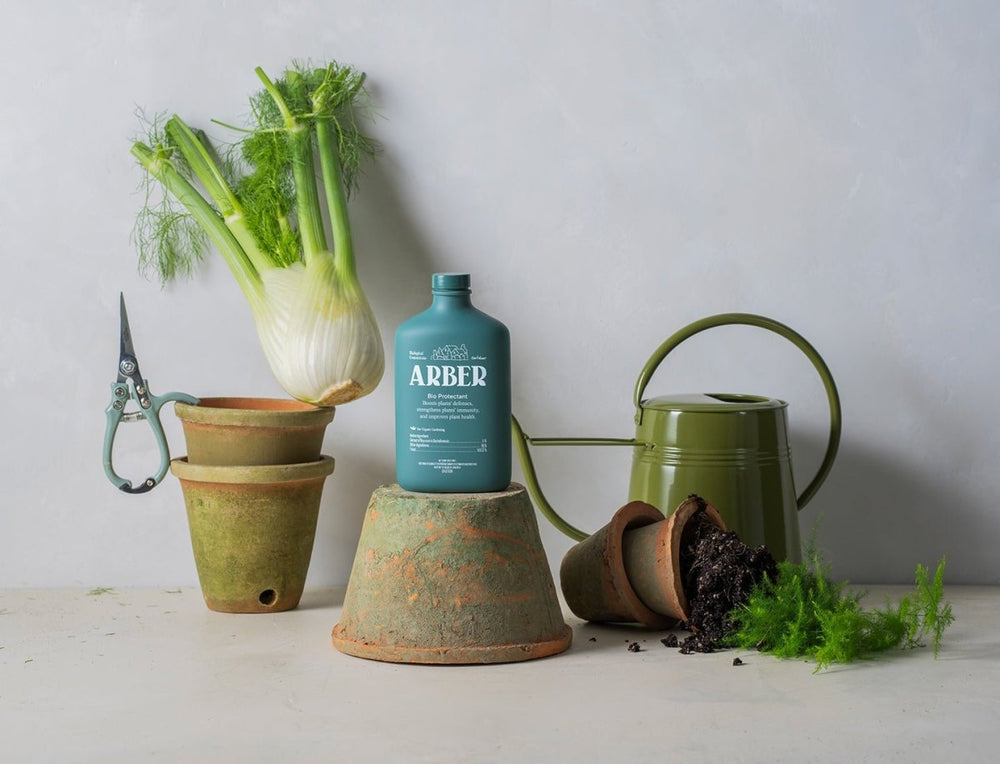 
                      
                        House Plant Shop Arber Organic Bio Protectant - lily & onyx
                      
                    