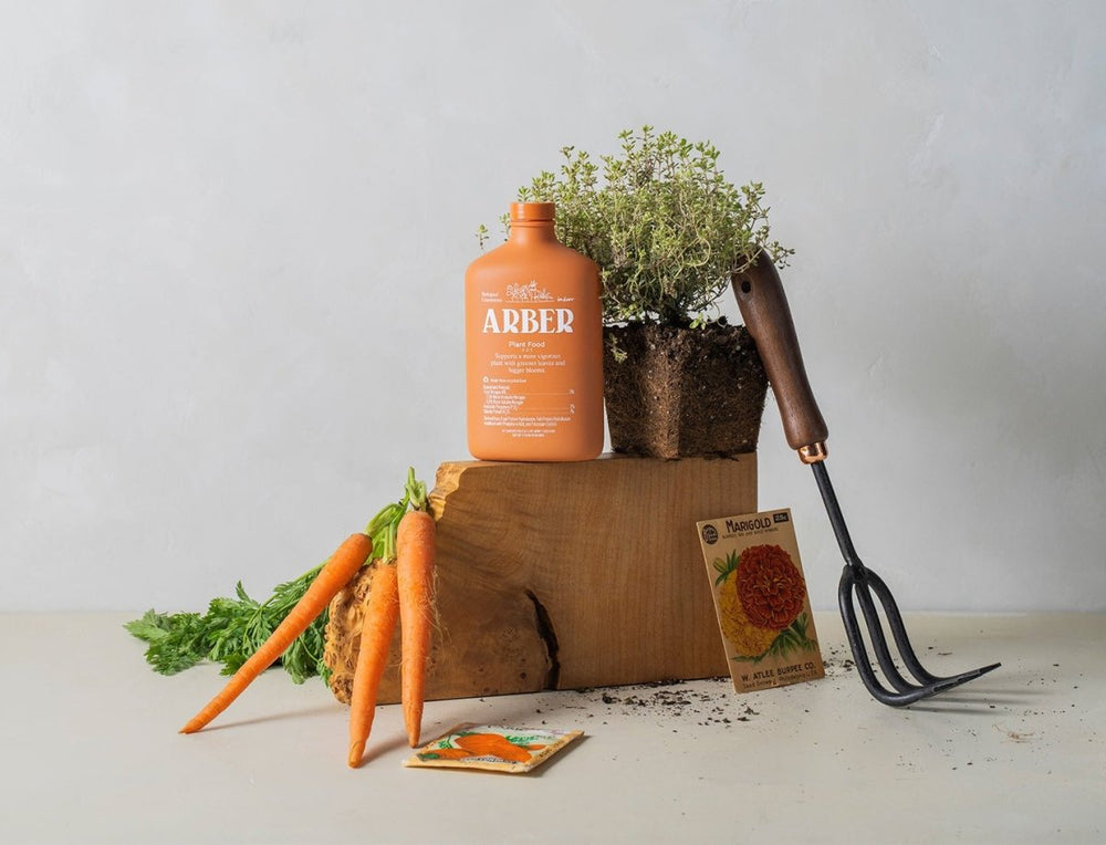 
                      
                        House Plant Shop Arber Organic Plant Food 16oz WM - lily & onyx
                      
                    