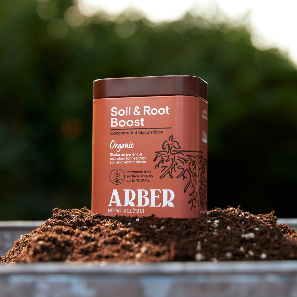 
                      
                        House Plant Shop Arber Organic Soil & Root Boost - lily & onyx
                      
                    