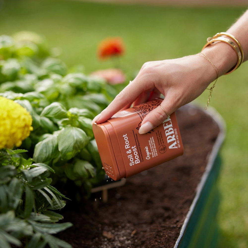 
                      
                        House Plant Shop Arber Organic Soil & Root Boost - lily & onyx
                      
                    
