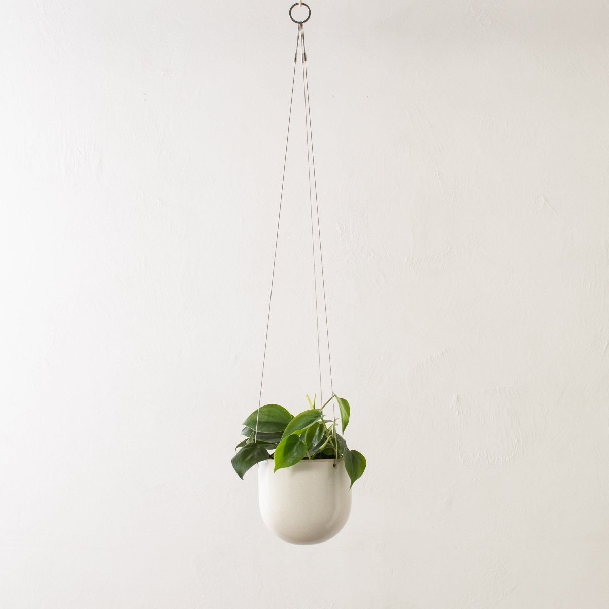 CONVIVIAL Arched Hanging Planter No. 1 | Glazed Stoneware - lily & onyx