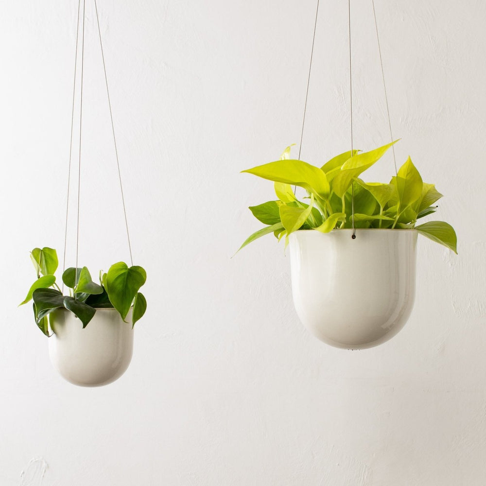 
                      
                        CONVIVIAL Arched Hanging Planter No. 1 | Glazed Stoneware - lily & onyx
                      
                    