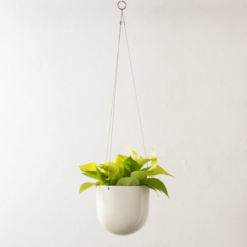 
                      
                        CONVIVIAL Arched Hanging Planter No. 2 | Glazed Stoneware - lily & onyx
                      
                    