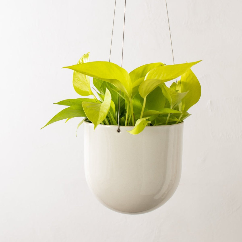 
                      
                        CONVIVIAL Arched Hanging Planter No. 2 | Glazed Stoneware - lily & onyx
                      
                    