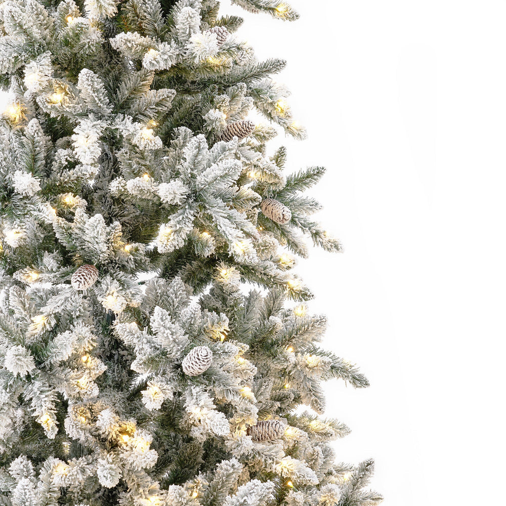 
                      
                        11’ Flocked Livingston Fir Artificial Christmas Tree with Pine Cones, 950 Clear Warm LED Lights and 3016 Bendable Branches
                      
                    
