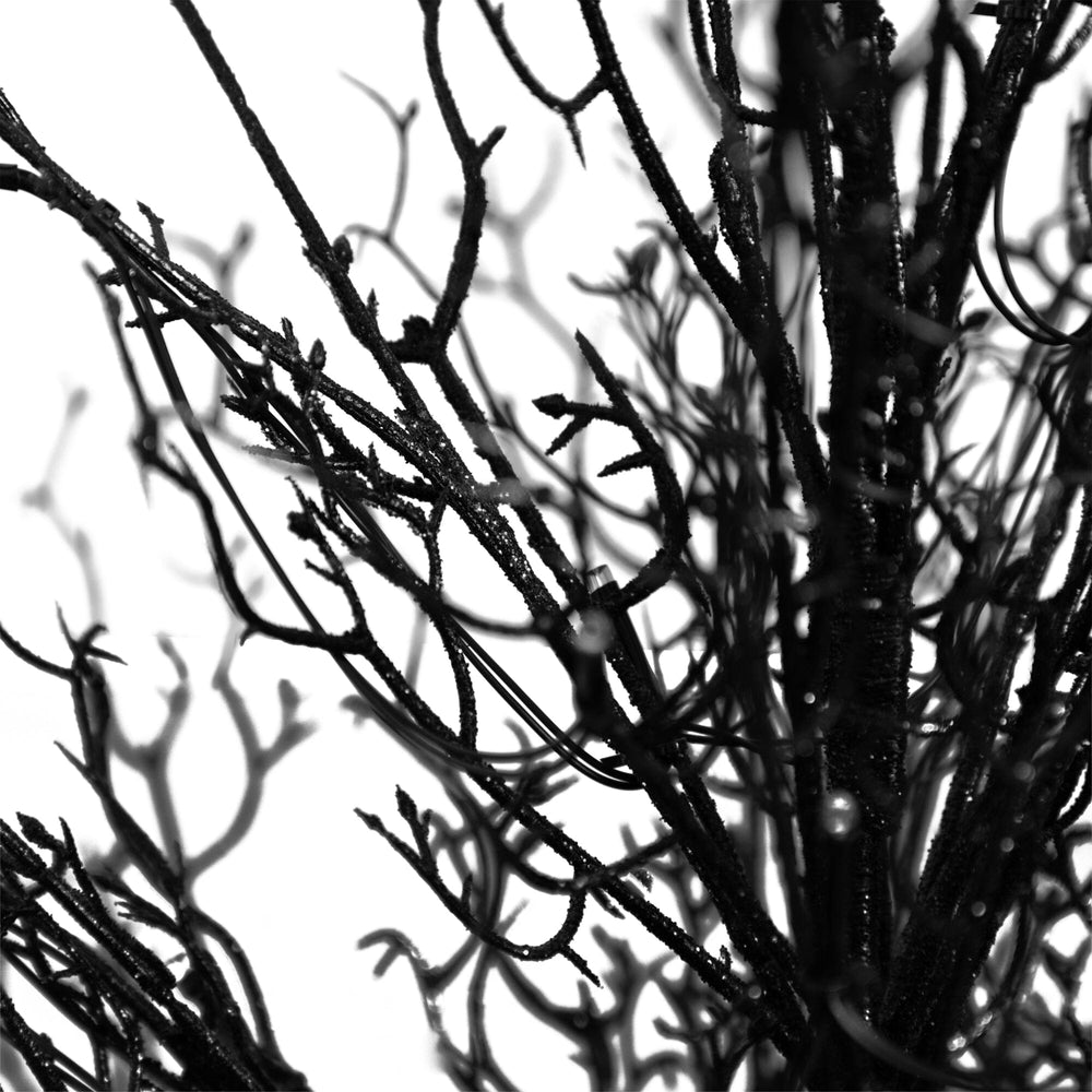 
                      
                        3’ Pre-Lit Halloween Black Twig Artificial Fall Tree in Burlap Planter with 52 Warm White LED Lights
                      
                    