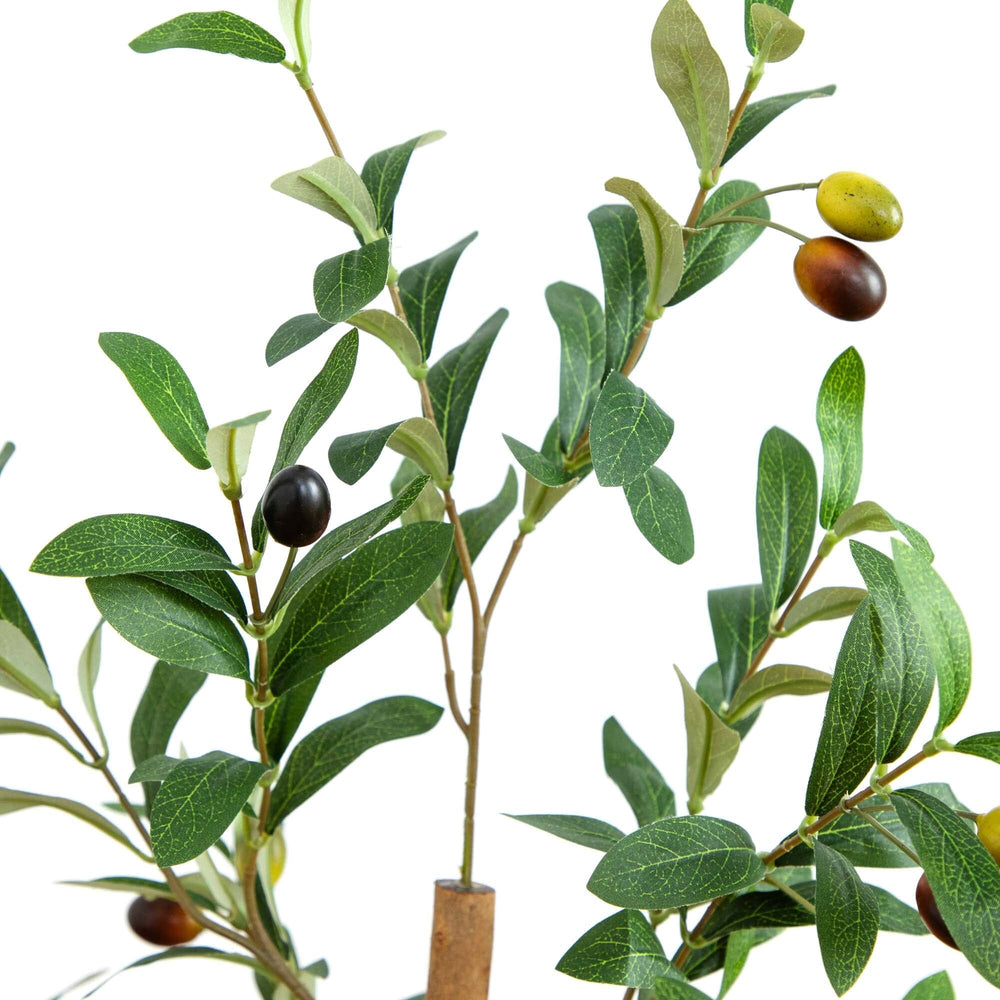
                      
                        4’ Artificial Olive Tree with Natural Trunk
                      
                    