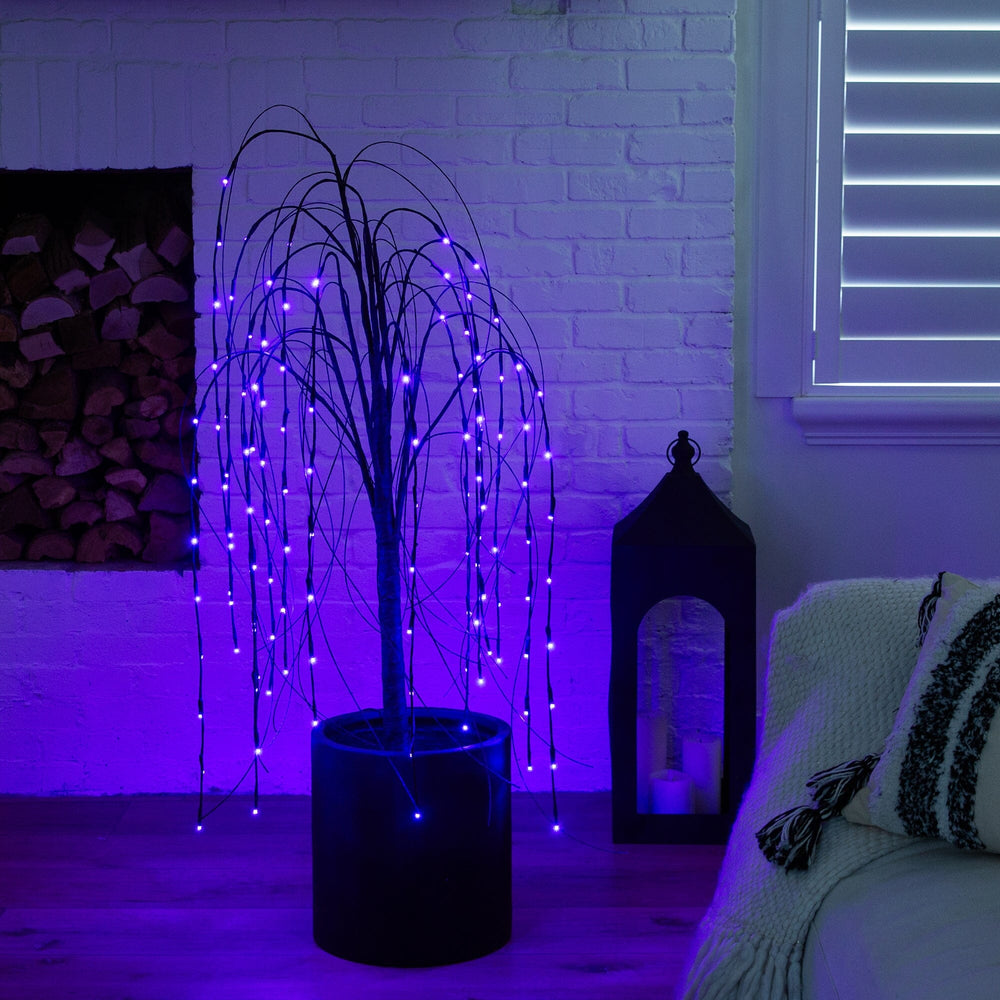 
                      
                        4’ Pre-Lit Halloween Black Willow Artificial Fall Tree with 120 Orange & Purple LED Lights
                      
                    