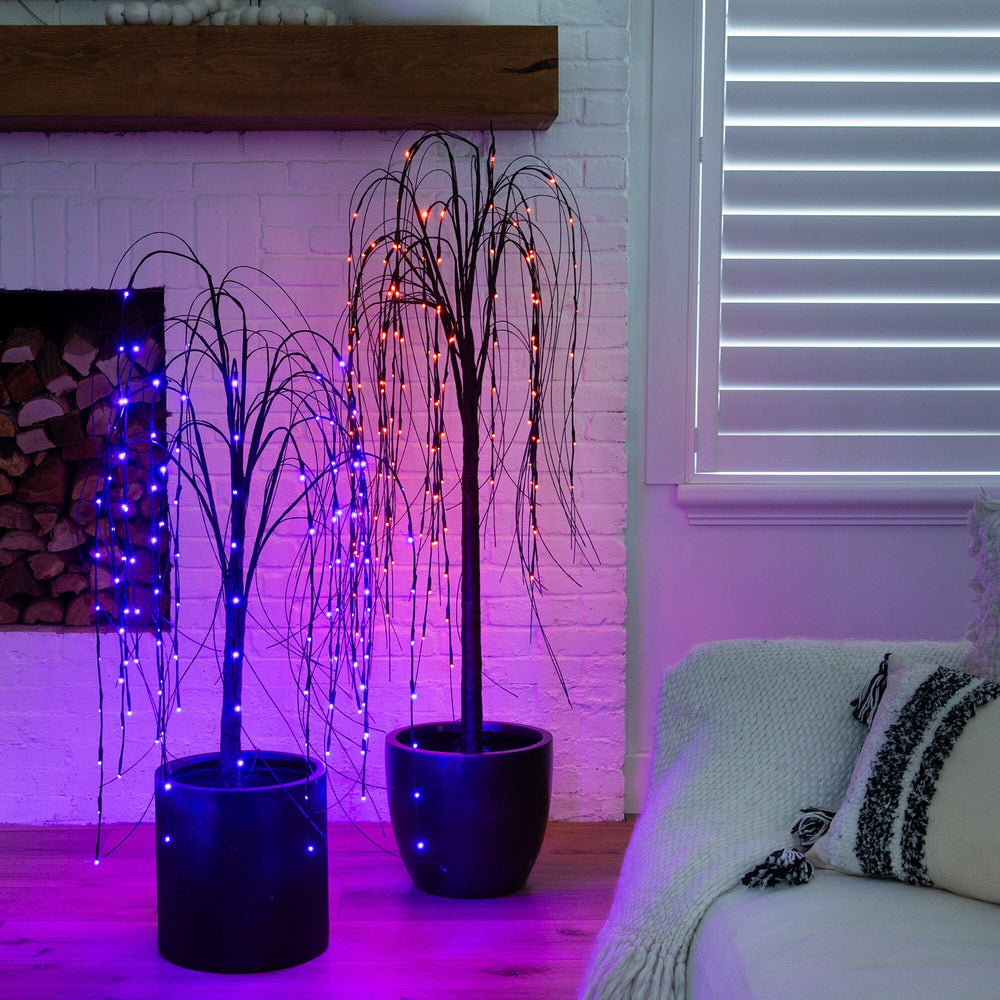 
                      
                        4’ Pre-Lit Halloween Black Willow Artificial Fall Tree with 120 Orange & Purple LED Lights
                      
                    