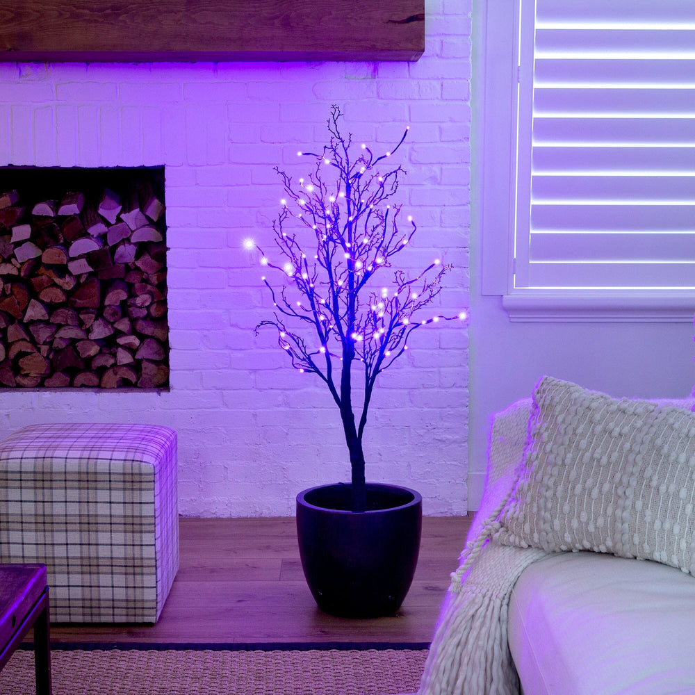 
                      
                        4’ Pre-Lit Halloween Deluxe Black Twig Artificial Fall Tree with 81 Orange & Purple LED Lights
                      
                    