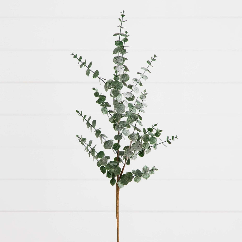 
                      
                        40" Artificial Eucalyptus Stems, Set of 3
                      
                    