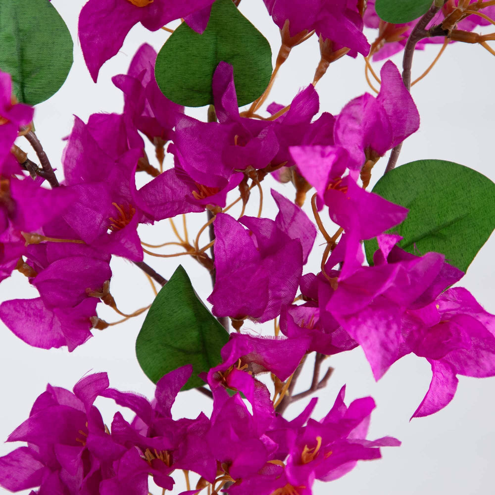 
                      
                        47" Artificial Bougainvillea Flower Stems, Set of 3
                      
                    