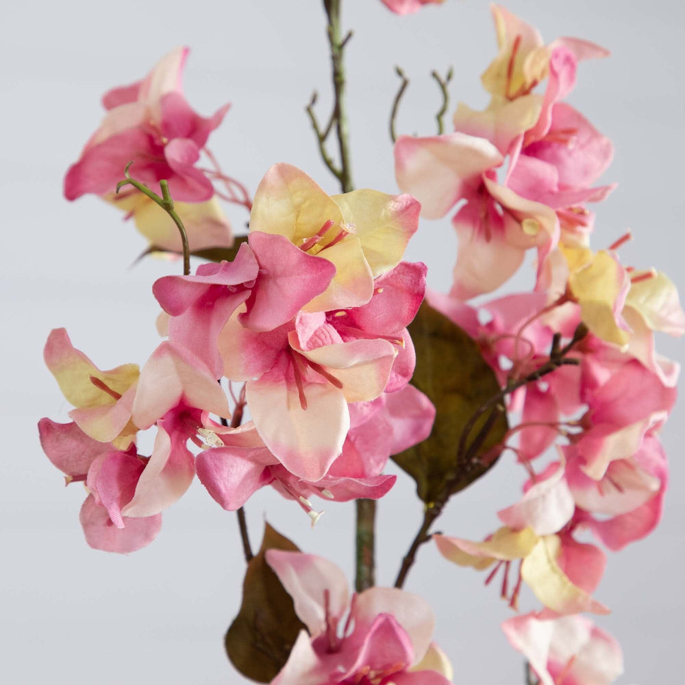 
                      
                        47" Artificial Bougainvillea Flower Stems, Set of 3
                      
                    