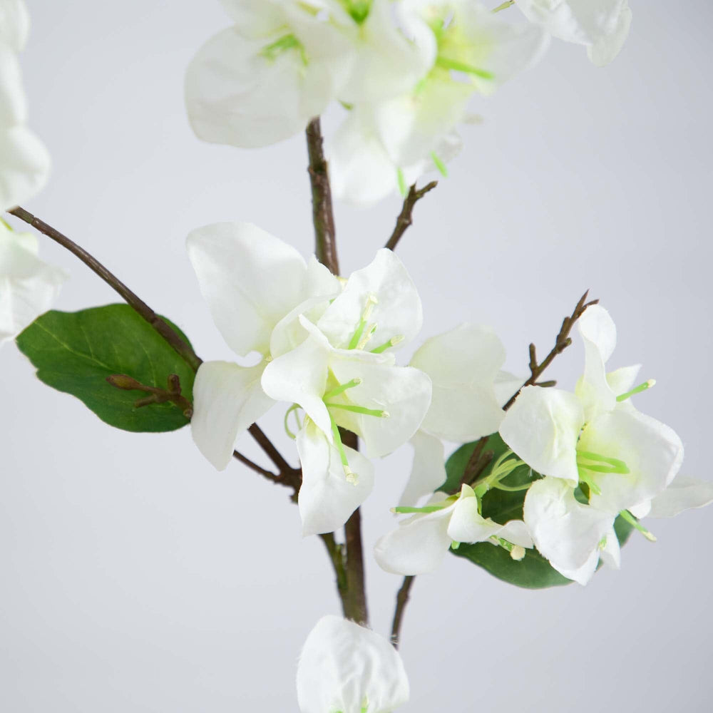 
                      
                        47" Artificial Bougainvillea Flower Stems, Set of 3
                      
                    