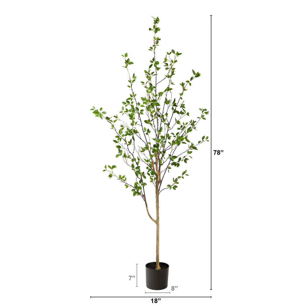 
                      
                        6.5' Minimalist Citrus Tree
                      
                    