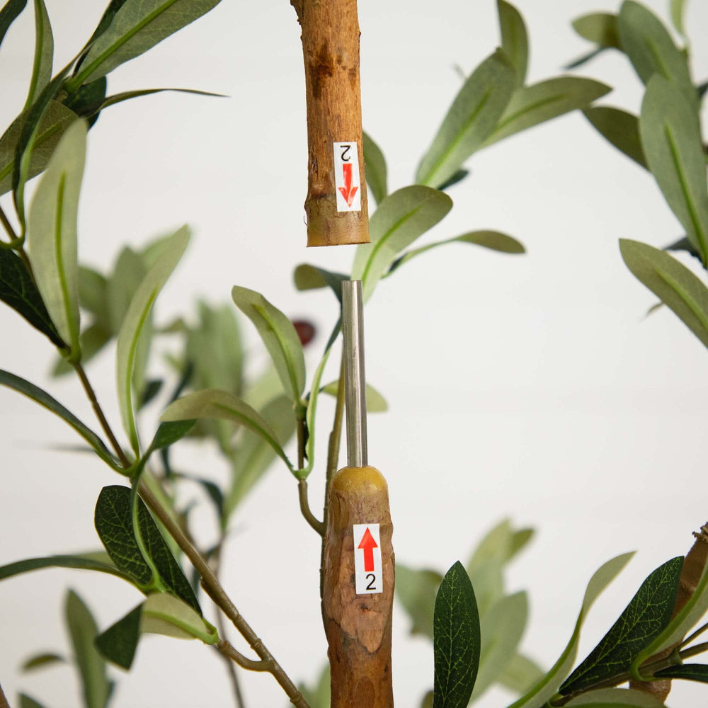 
                      
                        7' Artificial Olive Tree with Natural Trunk
                      
                    