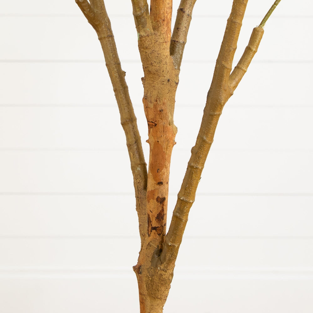 
                      
                        7' Artificial Olive Tree with Natural Trunk
                      
                    