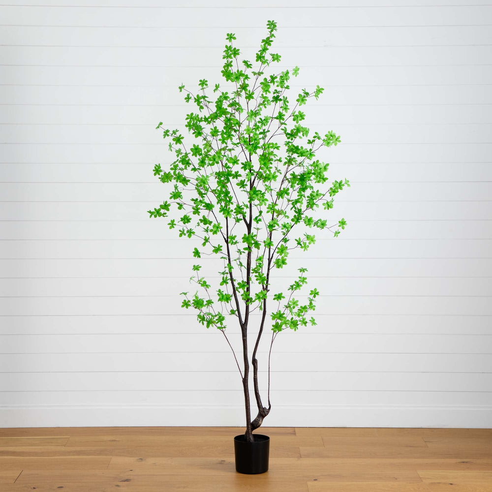 
                      
                        8’ Artificial Minimalist Enkianthus Tree
                      
                    