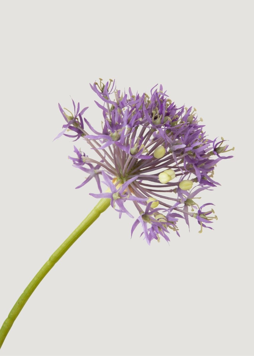 Afloral Artificial Allium Wildflower Bundle in Lavender - 30" - lily & onyx