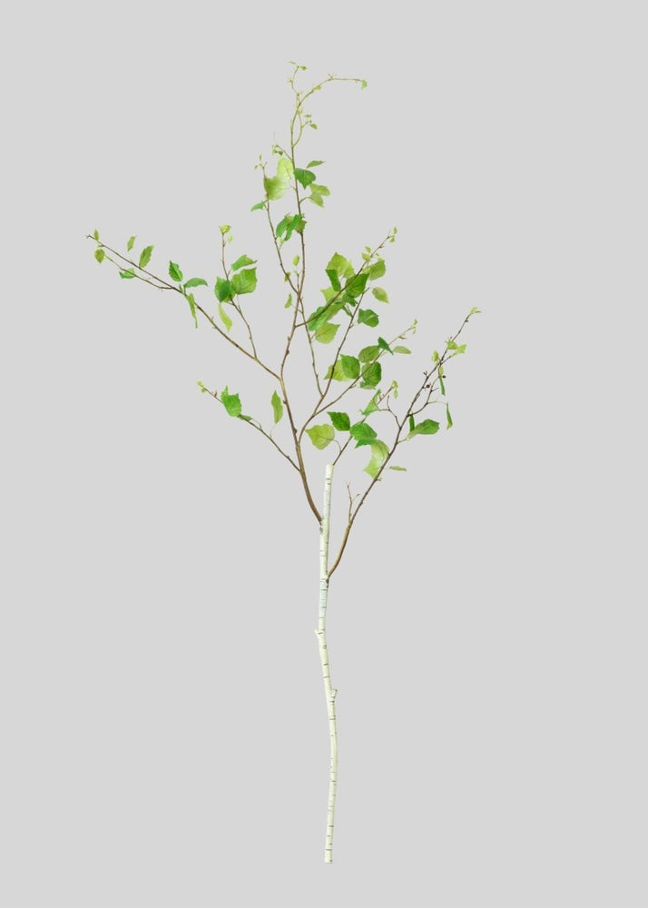 Afloral Artificial Birch Leaf Branch - 52" - lily & onyx