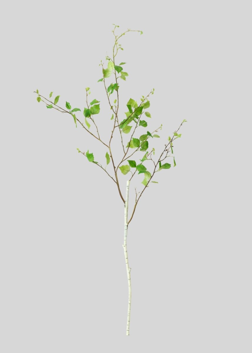 Afloral Artificial Birch Leaf Branch - 52" - lily & onyx