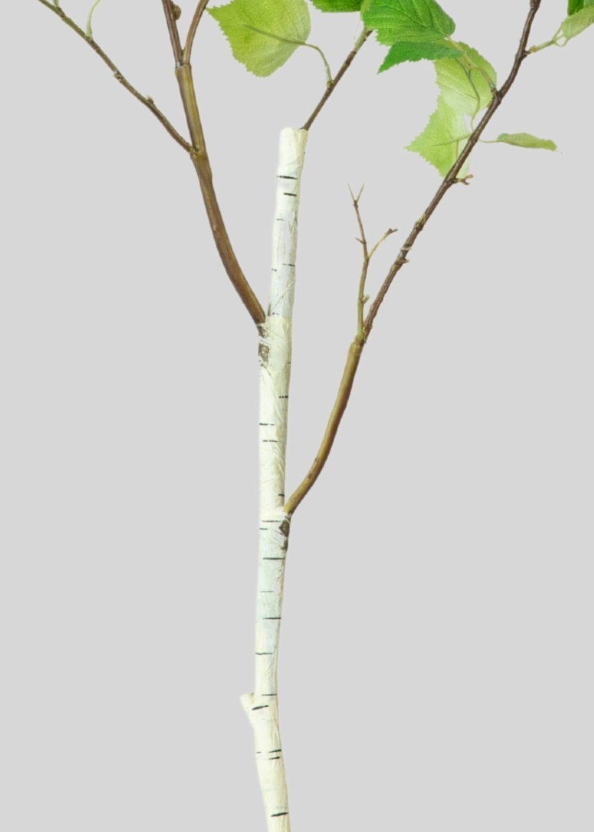 Afloral Artificial Birch Leaf Branch - 52" - lily & onyx