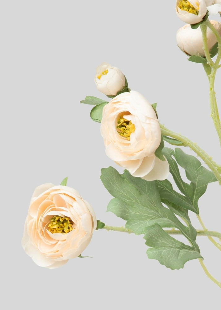 
                      
                        Afloral Artificial Blooming Ranunculus Flowers in Blush - 21" - lily & onyx
                      
                    