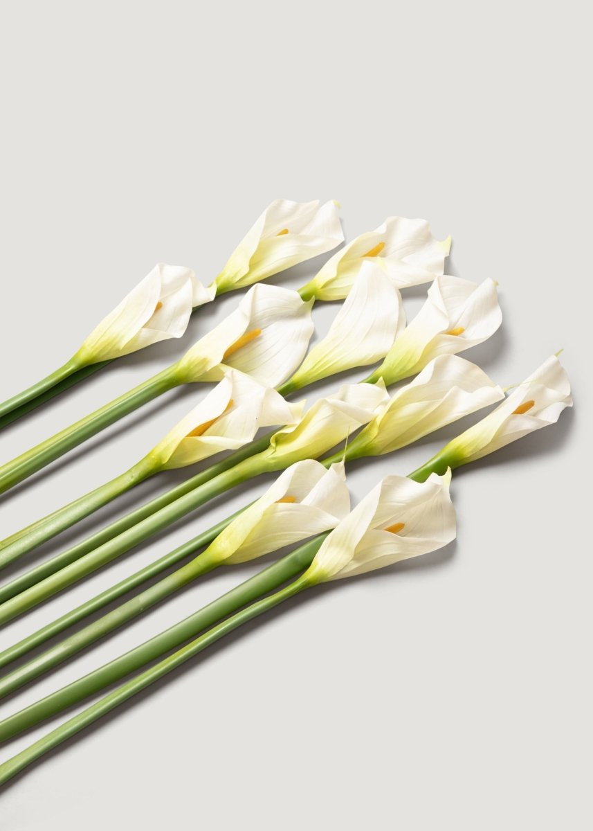 Afloral Artificial Calla Lily Stems in Cream - 37", Case of 12 - lily & onyx