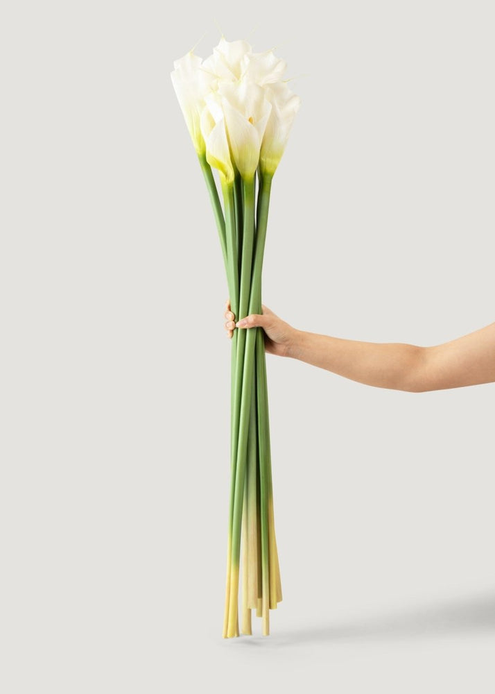 Afloral Artificial Calla Lily Stems in Cream - 37", Case of 12 - lily & onyx