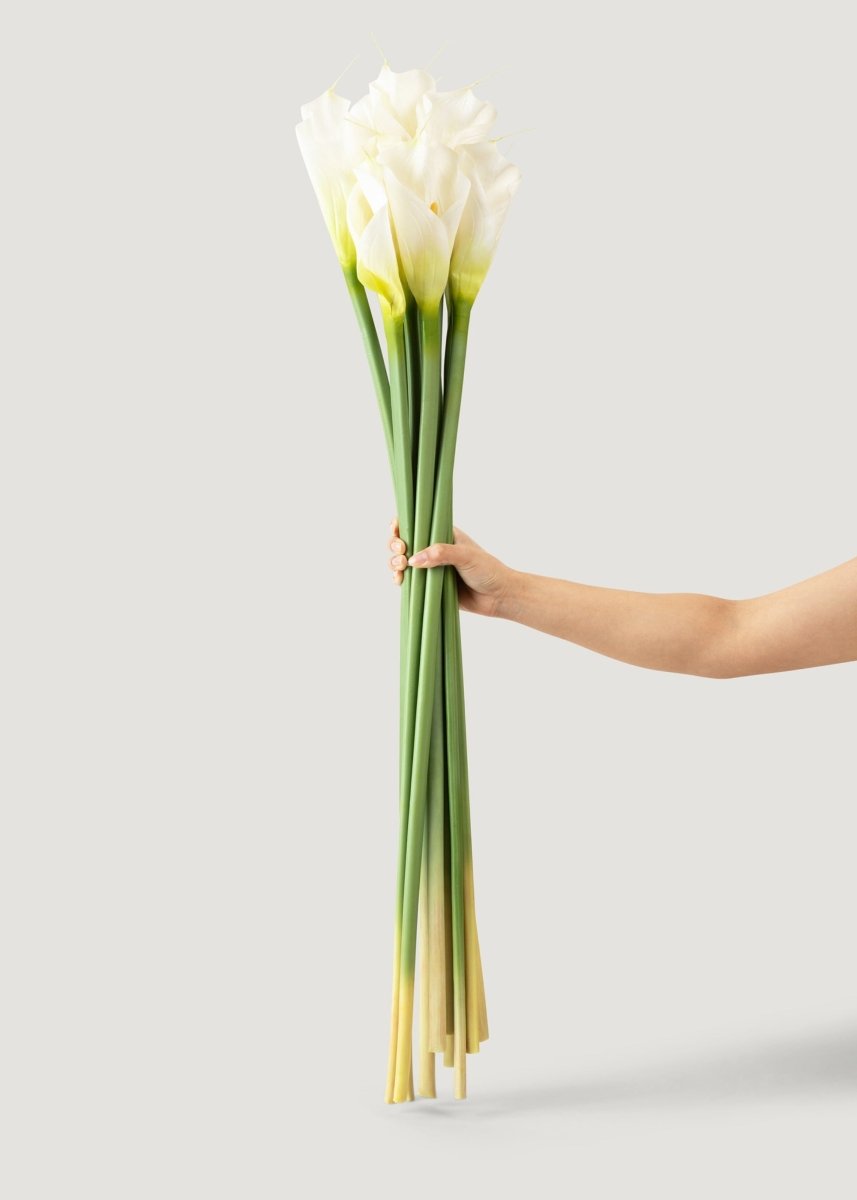 Afloral Artificial Calla Lily Stems in Cream - 37", Case of 12 - lily & onyx