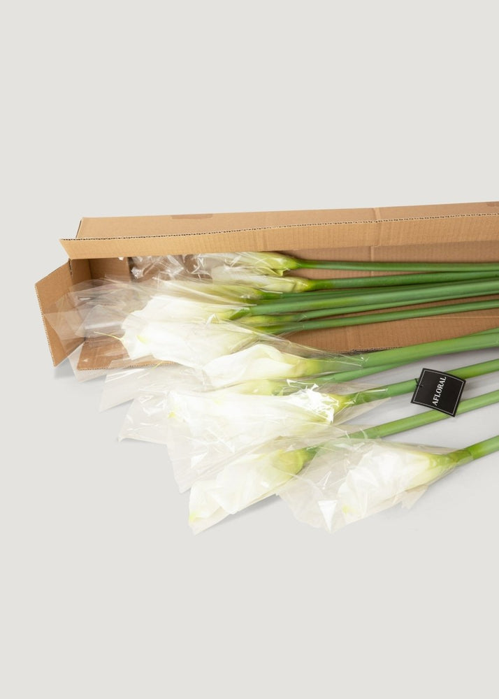 
                      
                        Afloral Artificial Calla Lily Stems in Cream - 37", Case of 12 - lily & onyx
                      
                    