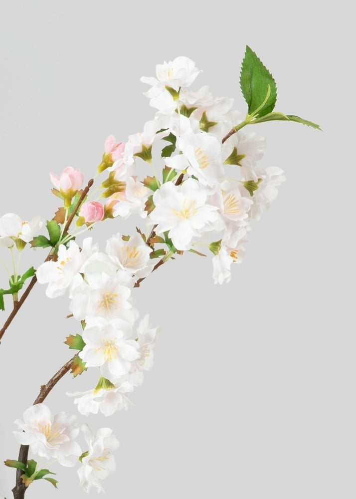 Afloral Artificial Cherry Blossom Branch in Blush - 36" - lily & onyx