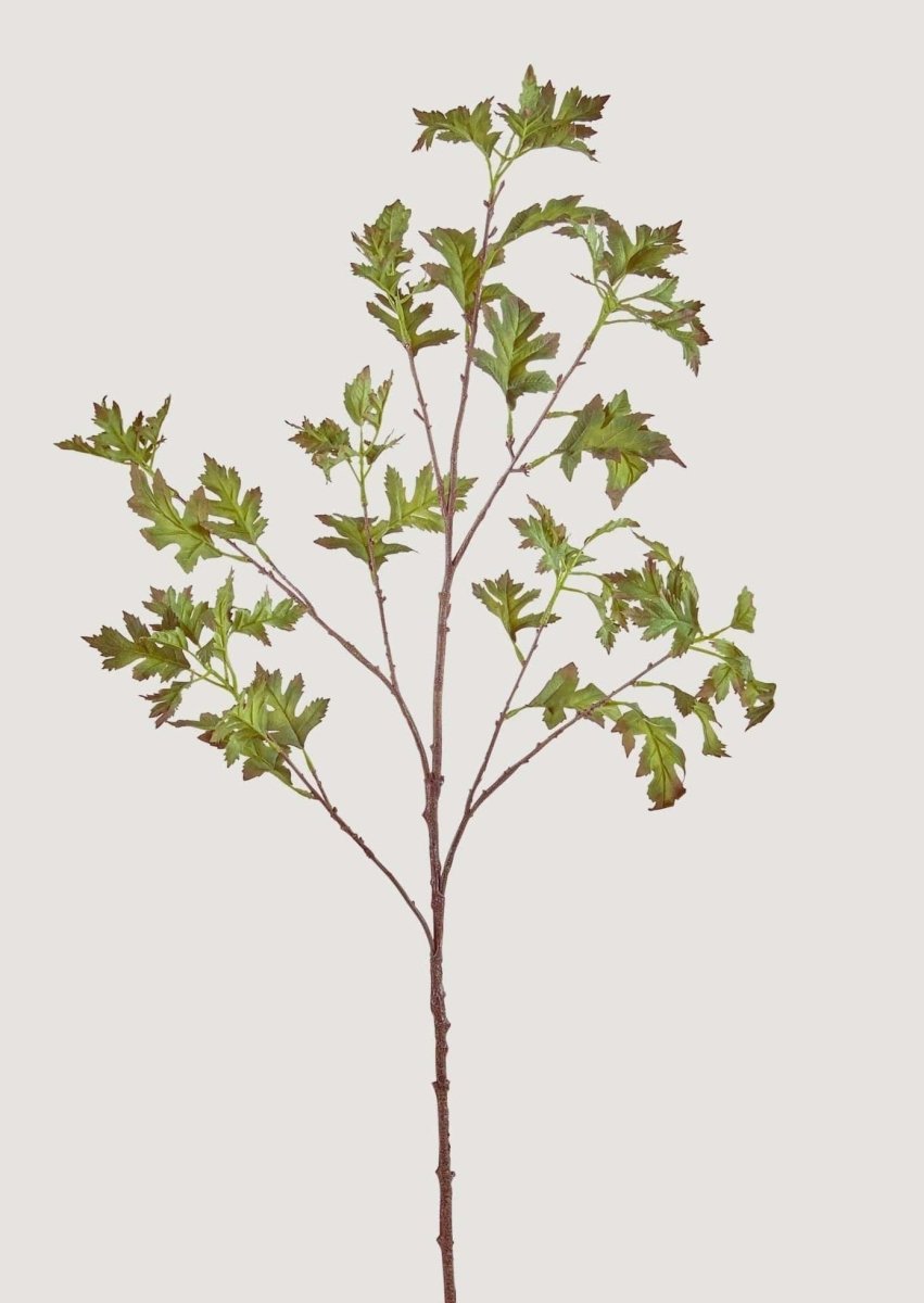 Afloral Artificial Common Hawthorn Leaf Branch, 42.5" - lily & onyx