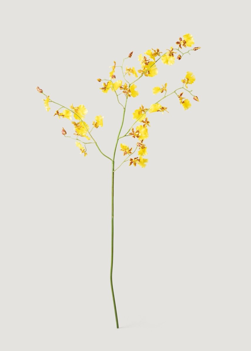 Afloral Artificial Dancing Orchids in Yellow - 46" - lily & onyx