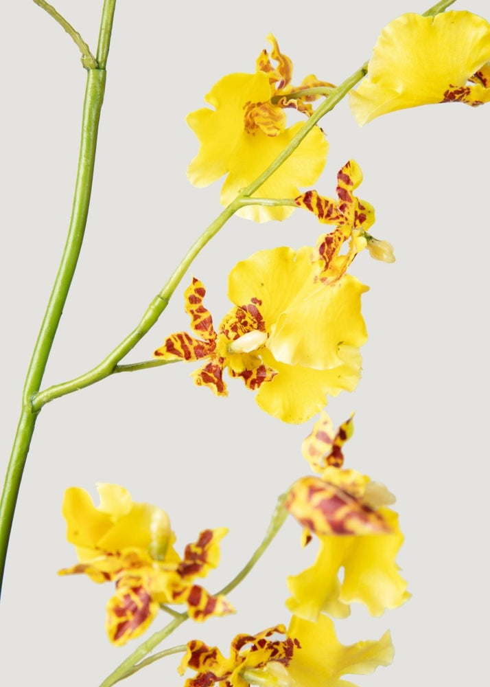 Afloral Artificial Dancing Orchids in Yellow - 46" - lily & onyx