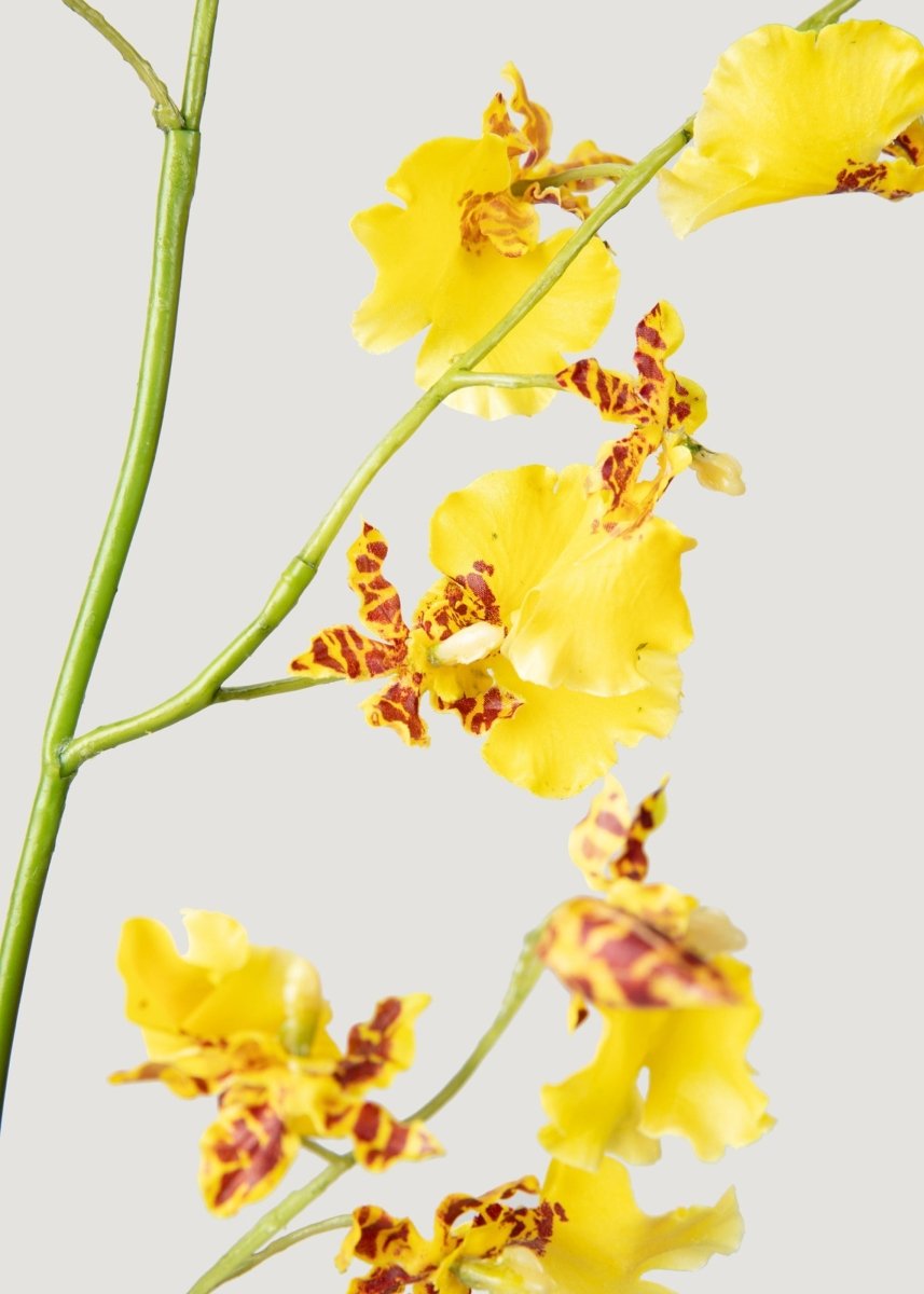 Afloral Artificial Dancing Orchids in Yellow - 46" - lily & onyx