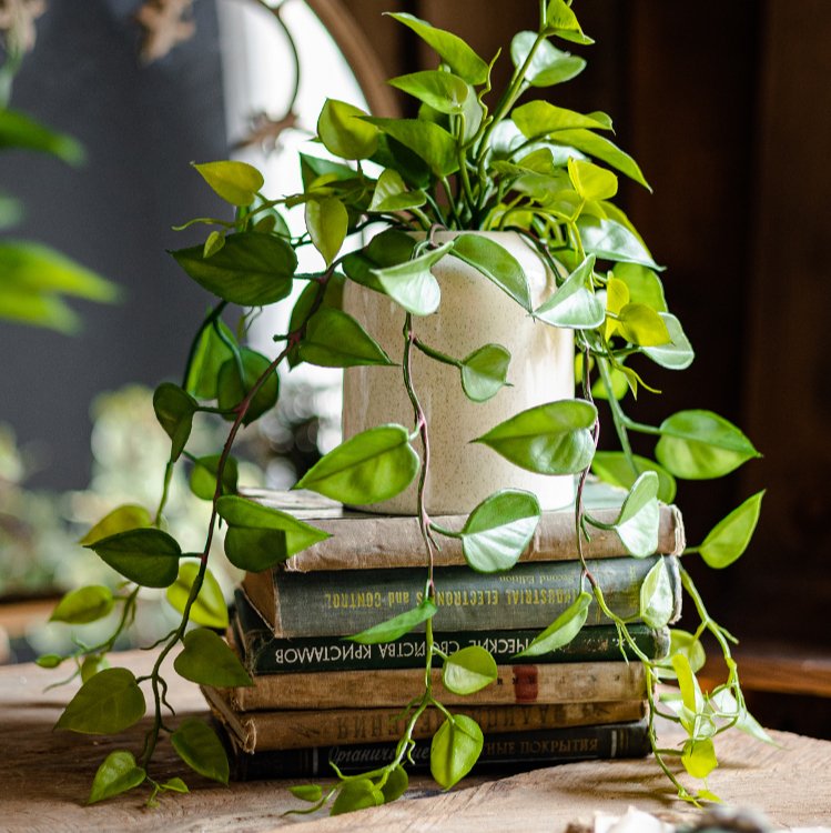 RusticReach Artificial Devil's Ivy Plant in White Pot - lily & onyx