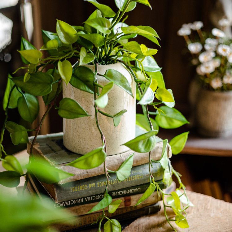 
                      
                        RusticReach Artificial Devil's Ivy Plant in White Pot - lily & onyx
                      
                    