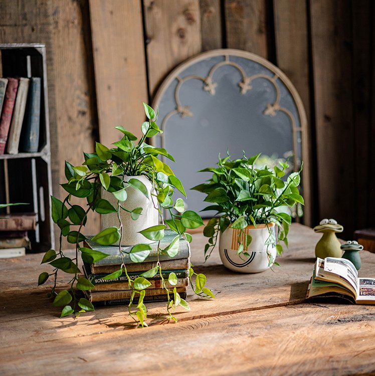 RusticReach Artificial Devil's Ivy Plant in White Pot - lily & onyx