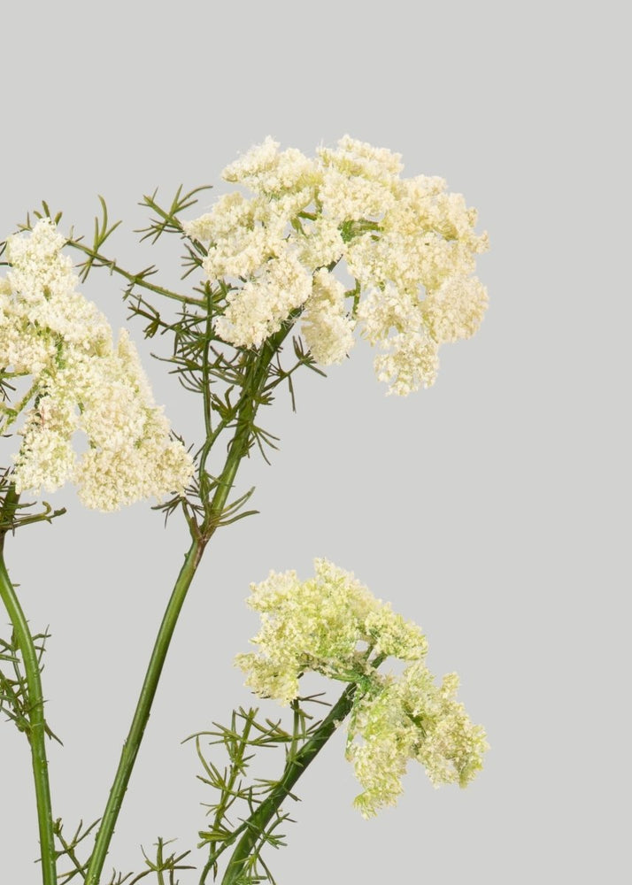 
                      
                        Afloral Artificial Dill Wildflower Branch - 33" - lily & onyx
                      
                    
