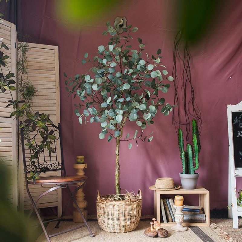
                      
                        Artificial Eucalyptus Tree In Pot
                      
                    
