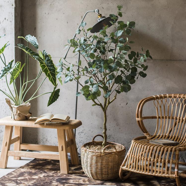 
                      
                        Artificial Eucalyptus Tree In Pot
                      
                    