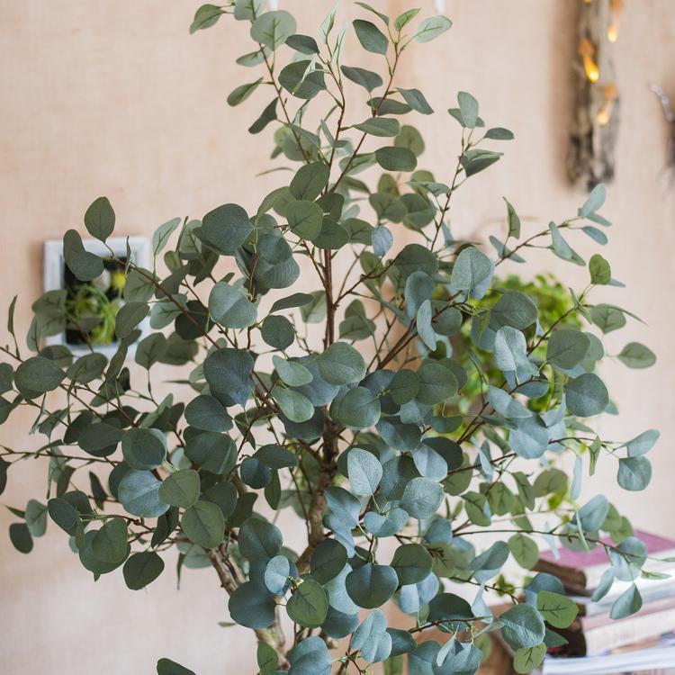 
                      
                        Artificial Eucalyptus Tree In Pot
                      
                    