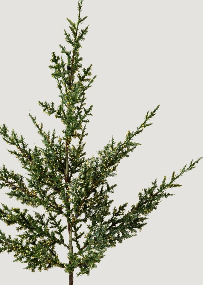 
                      
                        Afloral Artificial Evergreen Pine Branch - 37" - lily & onyx
                      
                    